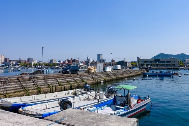広島県 瀬戸内地魚の消費拡大へ ブランド化推進、飲食30店参加促す