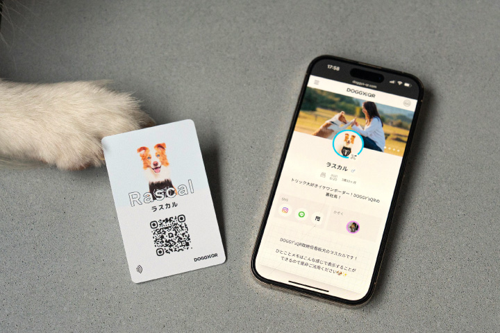 ウェブ開発のリーチスクリプト 犬の飼い主専用スマート名刺