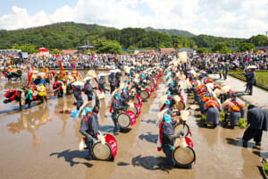 北広島町がバスツアー　壬生の花田植を予約席で鑑賞