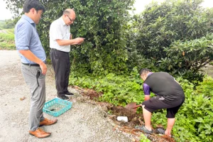 営農発電の佐々木　生分解性プラの菌床袋　共同開発し里山保護へ