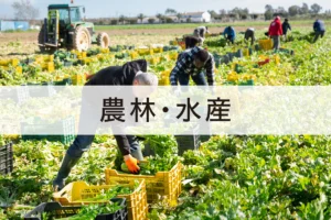 広島県　地域農業将来ビジョン構築へ　10地区目標、応援人材を派遣
